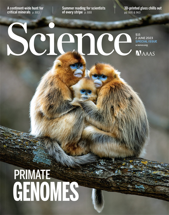 Science封面文章:好博体育金丝猴研究团队首次系统揭示灵长类社会演化之谜_fororder_《自然》封面.JPG
