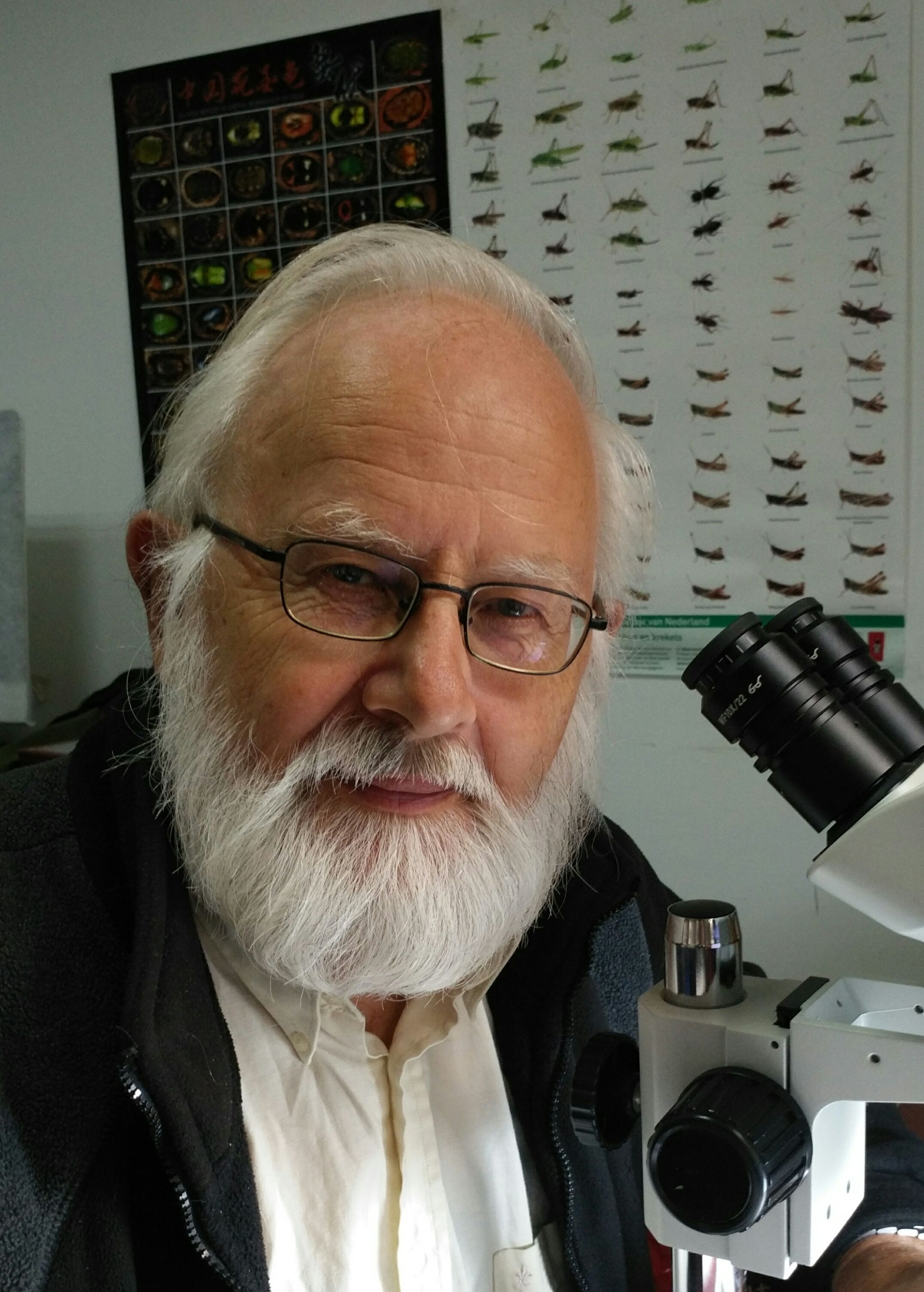 好博体育创新论坛第八百零九讲暨校庆117周年学术讲座：Parasite rex: the unknown diversity of parasitoid wasps