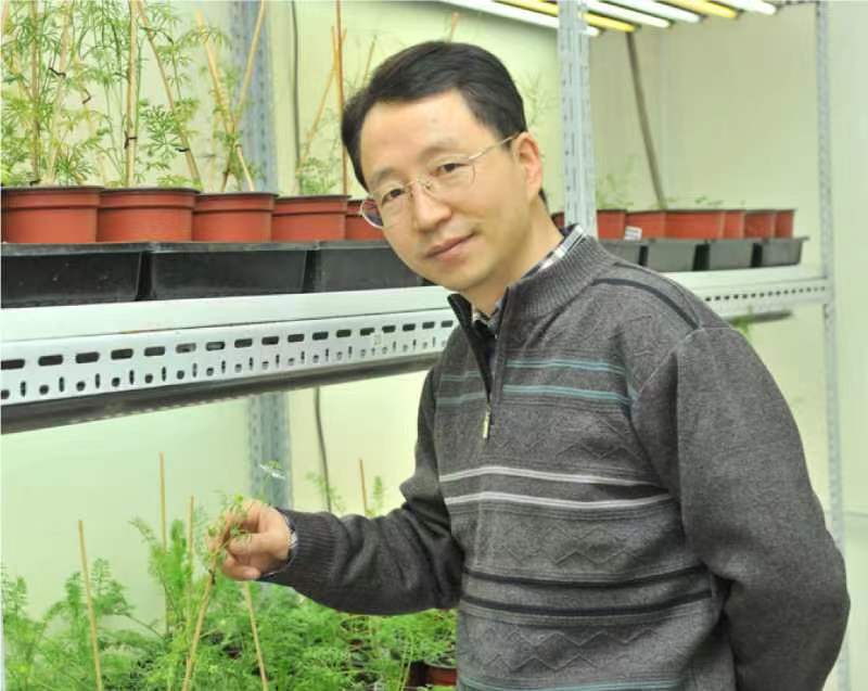 好博体育创新论坛第一千二百六十八讲暨120周年校庆年系列活动：复杂花瓣的发育与进化
