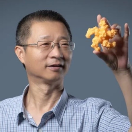 好博体育创新论坛第一千六百二十六讲：植物的免疫机制